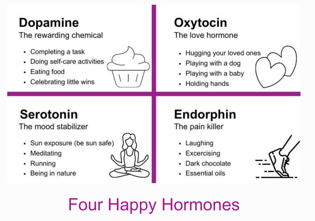 Four Happy Hormones and How to Harness Them- Part 1
