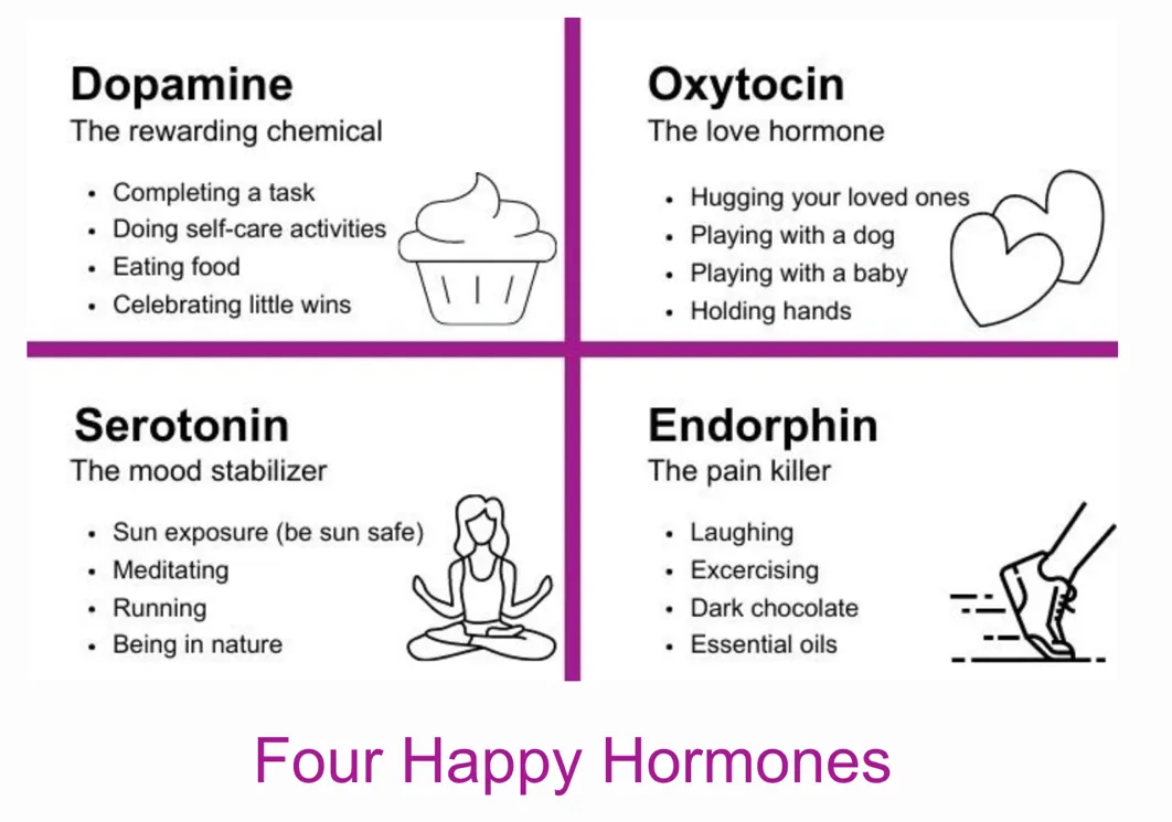Four Happy Hormones and How to Harness Them- Part 1