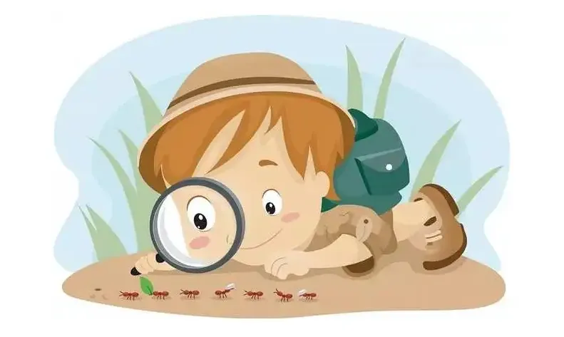 Fun Activities to Improve Observation Skills