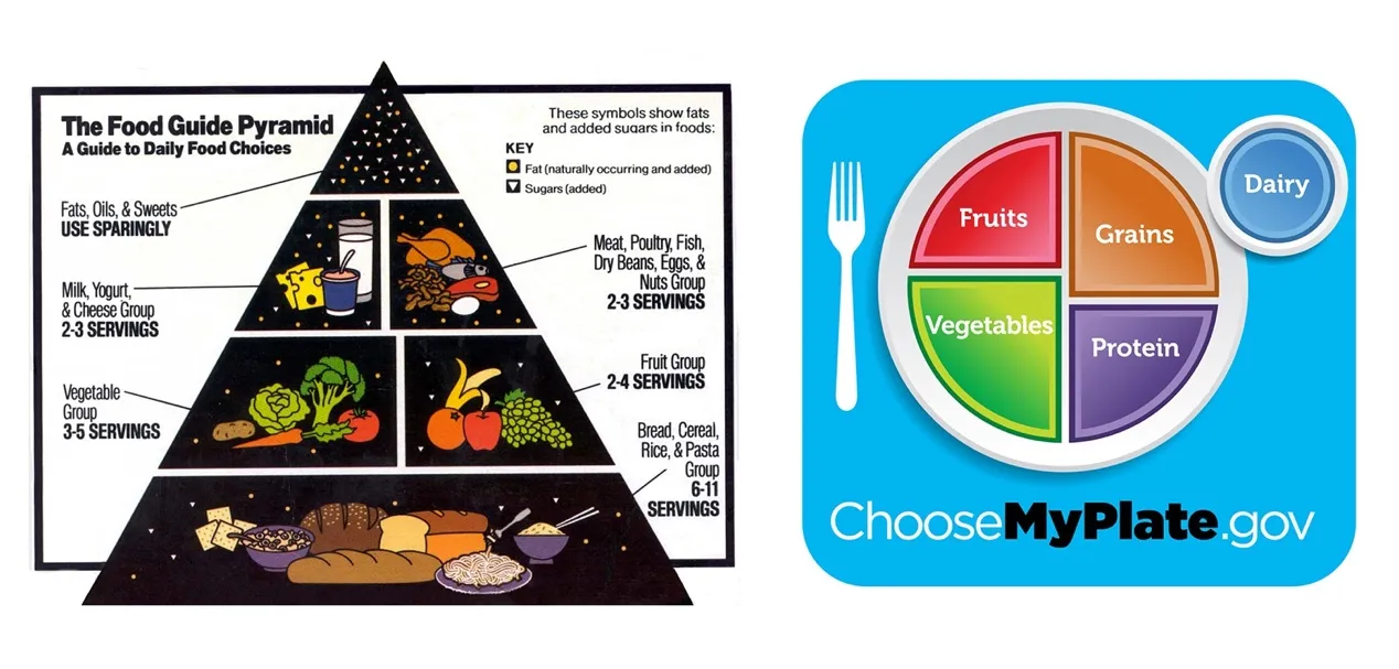 What's on Your Plate? MyPlate replaces Food Pyramid