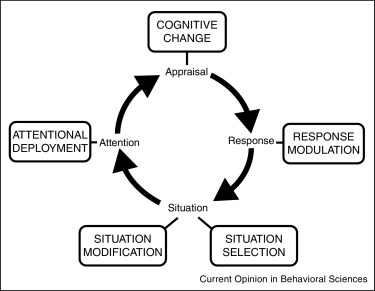 Cognitive emotion regulation: a review of theory and scientific findings - ScienceDirect