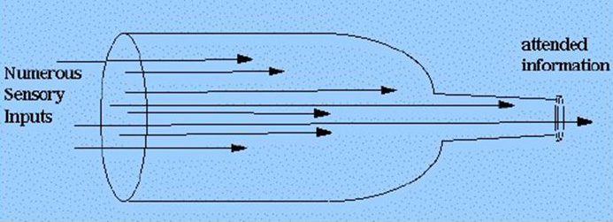 bottleneck metaphor of selective attention