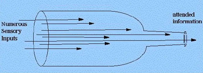 bottleneck metaphor of selective attention