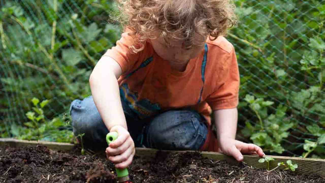 Gardening with Kids: 5 Easy Vegetables to Grow • RUN WILD MY CHILD