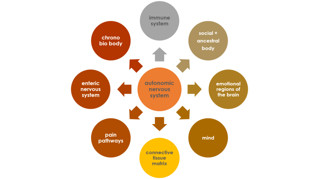 What is the Mind-Body Connection?