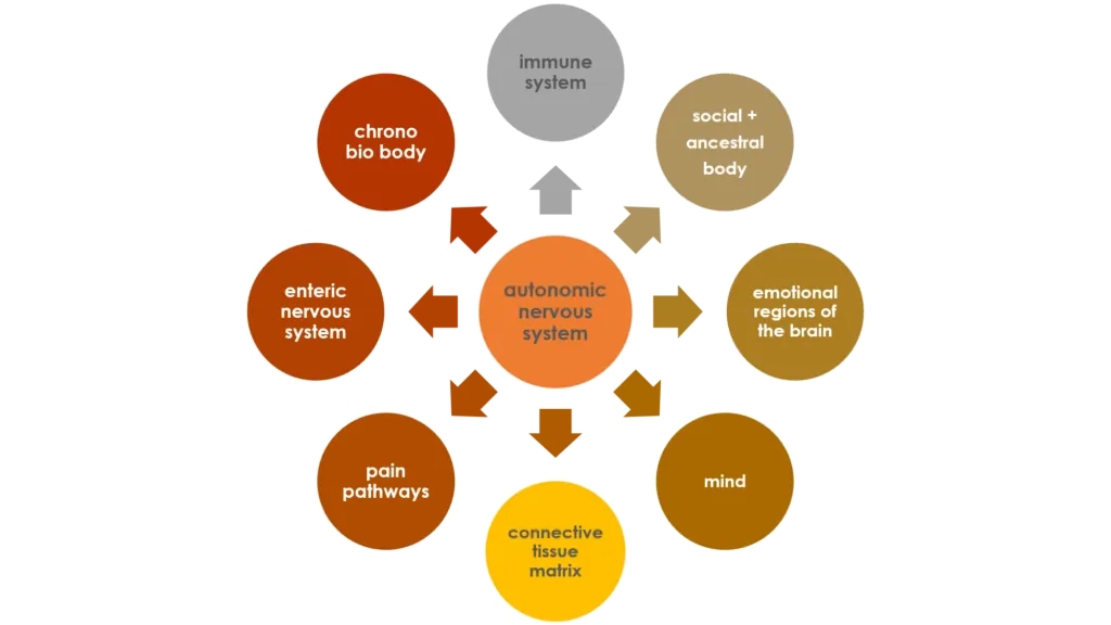 What is the Mind-Body Connection?